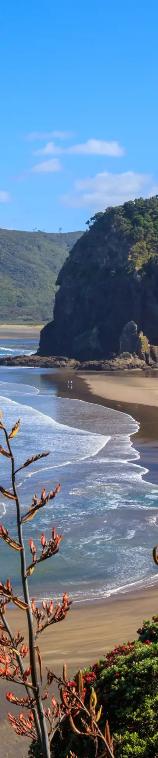 Lion Rock in Piha